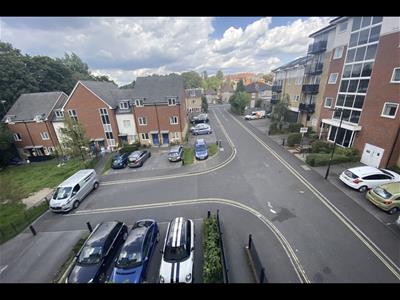 Picture 12